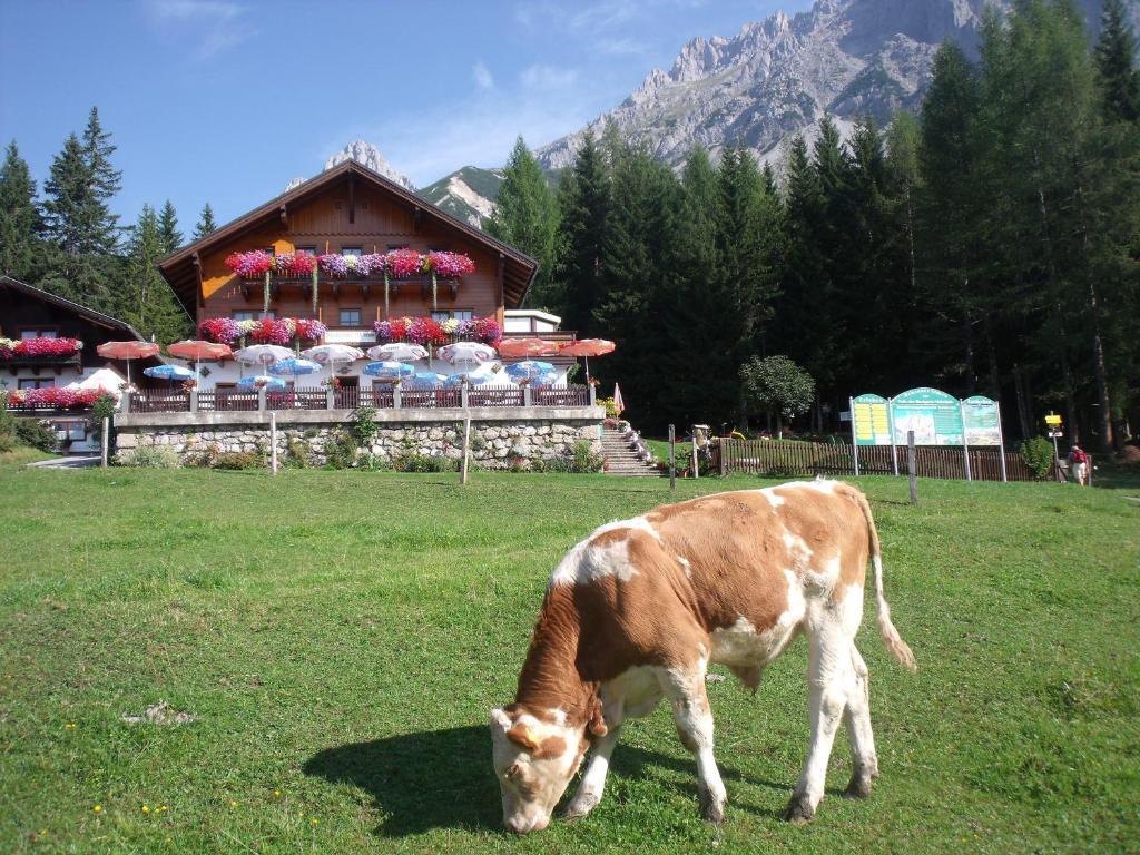 Gasthof Edelbrunn